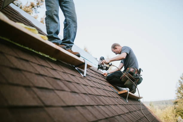 Quick and Trustworthy Emergency Roof Repair Services in Jackson, AL