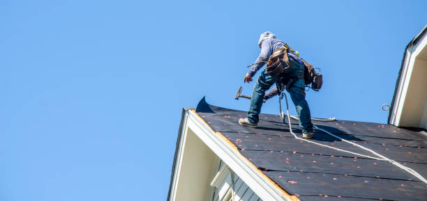 Best Metal Roofing Contractor  in Jackson, AL