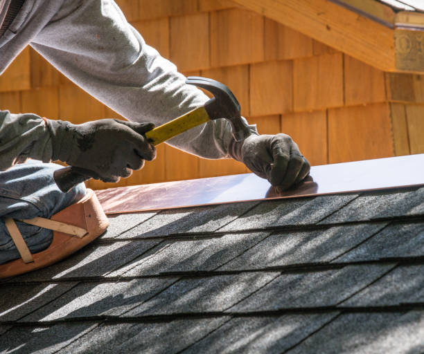 Roof Waterproofing Services in Jackson, AL